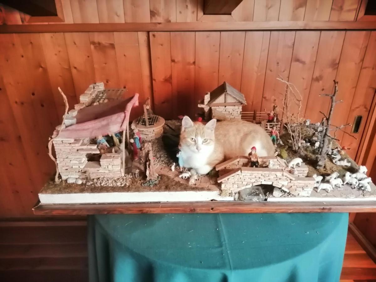 B&B Da Paolo Con Vista Lago Di Garda San Zeno di Montagna Dış mekan fotoğraf